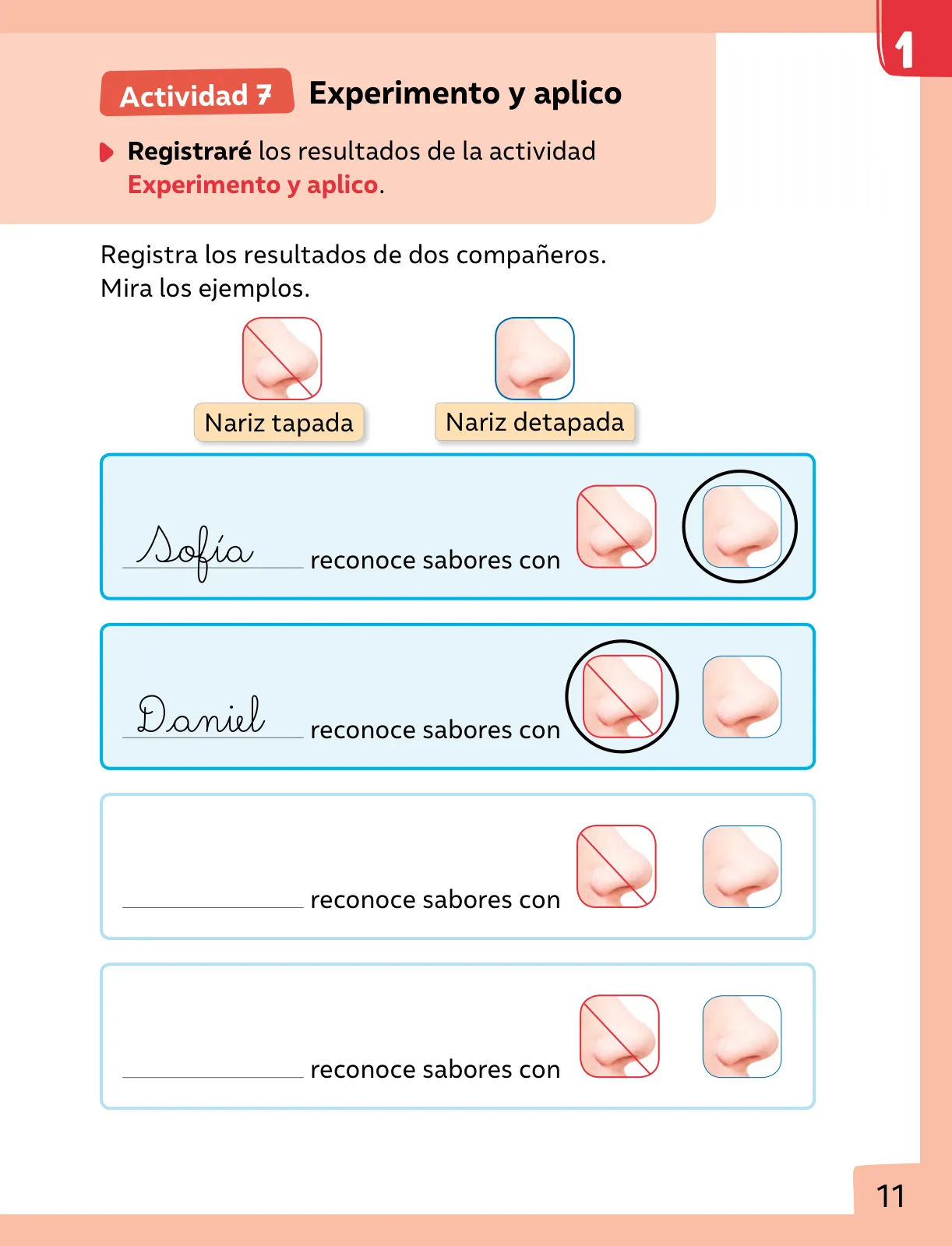 Miniatura página 12 de Ciencias Naturales – Primero Básico | Texto del Estudiante (MINEDUC) – Descargar PDF · 2024