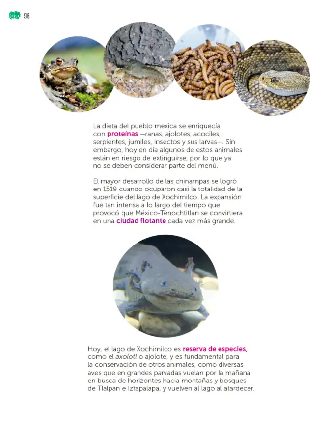 Página 97 de Colección Sk´asolil. Múltiples lenguajes. Libro de Educación Telesecundaria Grado 2° Ciclo Escolar 2025 - 2026