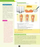 Miniatura página 125 de Ciencias Naturales – Octavo Básico | Texto del Estudiante MINEDUC – Descargar PDF · 2024
