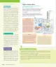 Miniatura página 135 de Historia, Geografía y Ciencias Sociales – Séptimo Básico | Texto del Estudiante MINEDUC – Descargar PDF · 2024
