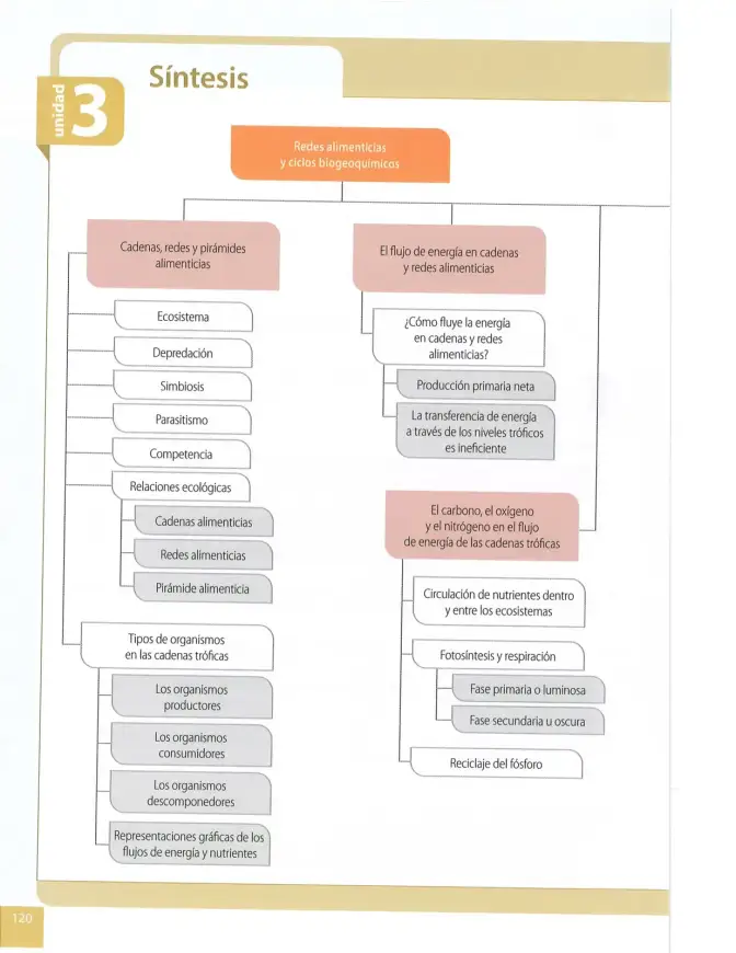 Página 119 de Ciencias Naturales 8° · Egb 8 Ciencias Naturales 2025 · 2025