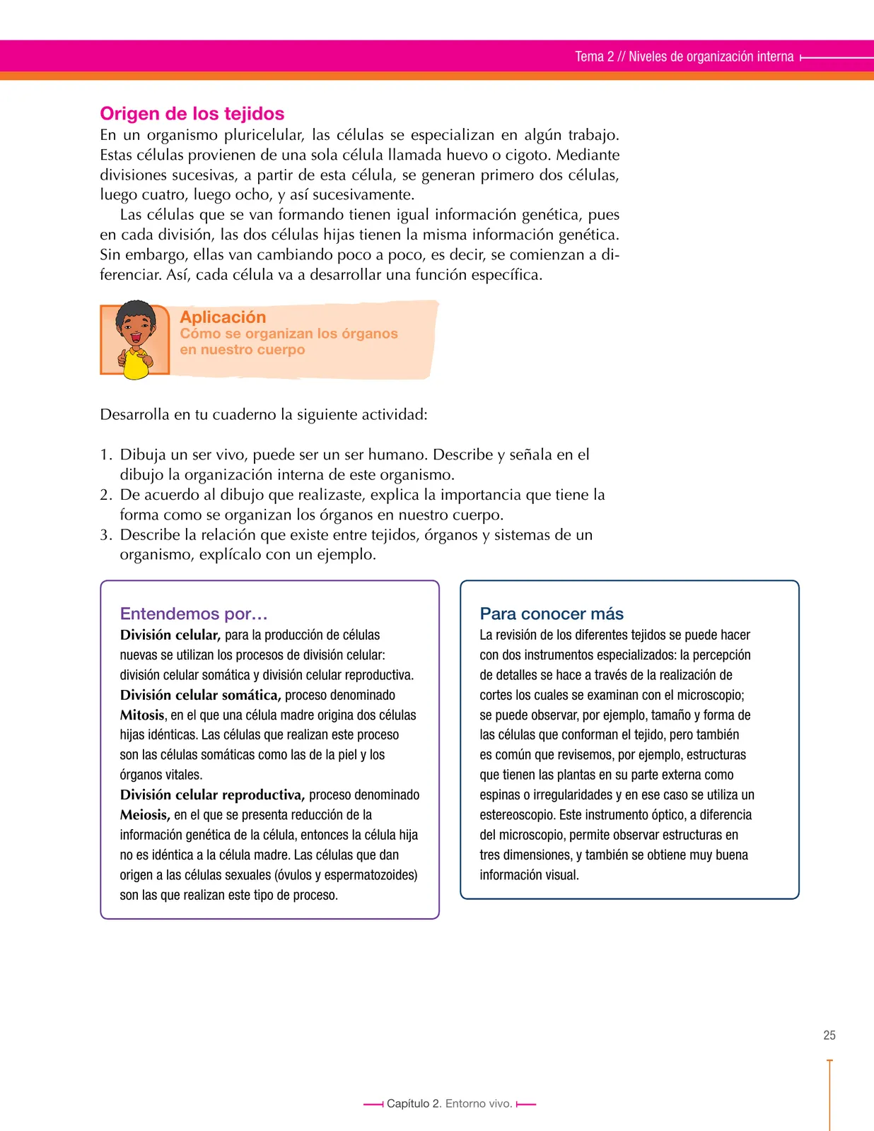 Pág 25