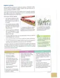 Miniatura página 20 de Ciencias Naturales 10° · 2025
