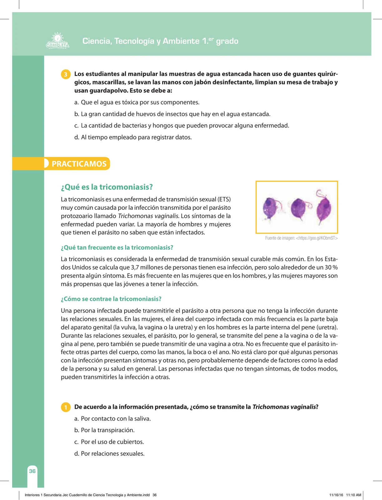 Miniatura página 36 de Ciencia, Tecnología y Ambiente 1. Cuaderno de reforzamiento pedagógico - JEC · 2016