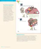 Miniatura página 142 de Lenguaje y Comunicación – Segundo Básico – Texto del Estudiante MINEDUC – Descargar PDF · 2024