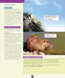 Miniatura página 141 de Ciencias Naturales – Primero Básico | Texto del Estudiante (MINEDUC) – Descargar PDF · 2024