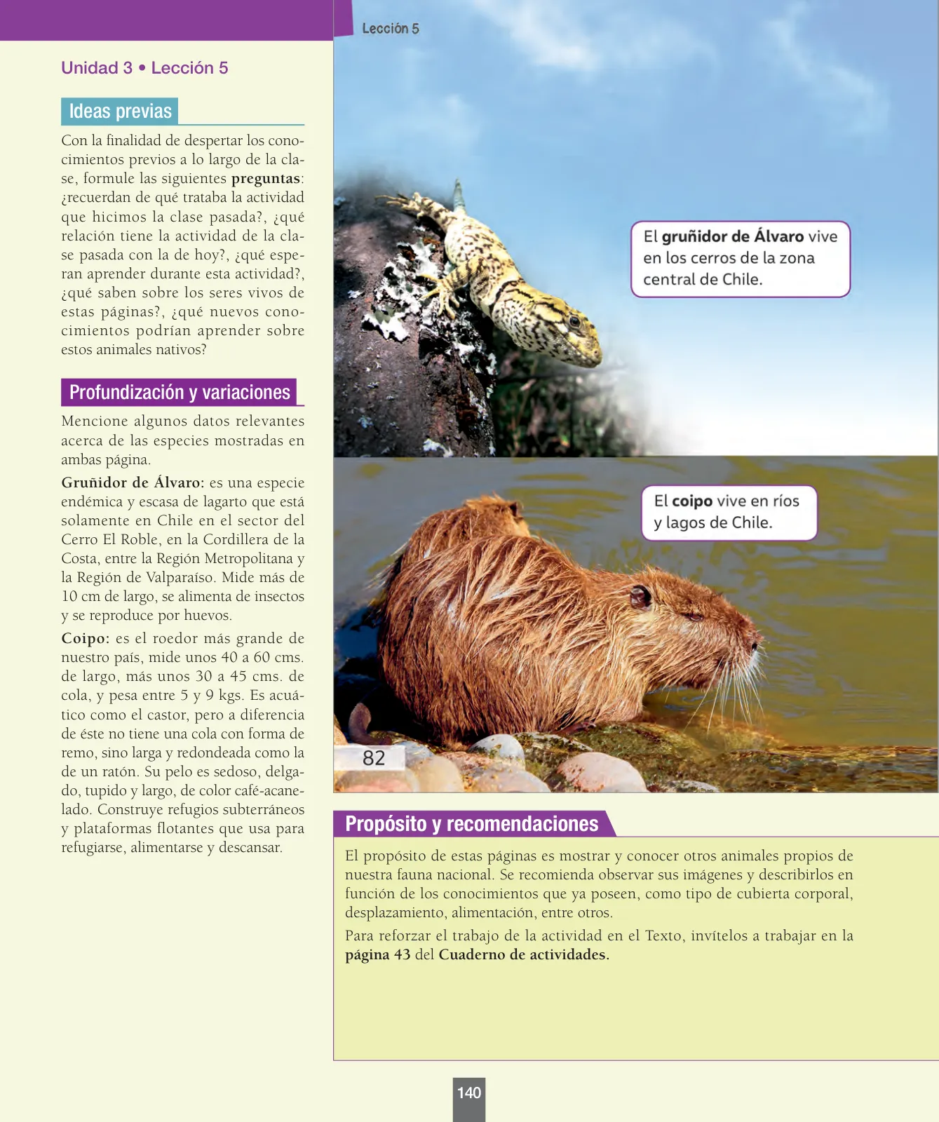 Miniatura página 141 de Ciencias Naturales – Primero Básico | Texto del Estudiante (MINEDUC) – Descargar PDF · 2024