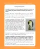 Miniatura página 303 de Lenguaje y Comunicación – Segundo Básico – Texto del Estudiante MINEDUC – Descargar PDF · 2024