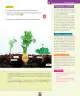 Miniatura página 150 de Ciencias Naturales – Primero Básico | Texto del Estudiante (MINEDUC) – Descargar PDF · 2024