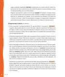 Miniatura página 97 de Lenguaje y Comunicación – Primero Básico | Texto del Estudiante MINEDUC – Descargar PDF · 2024
