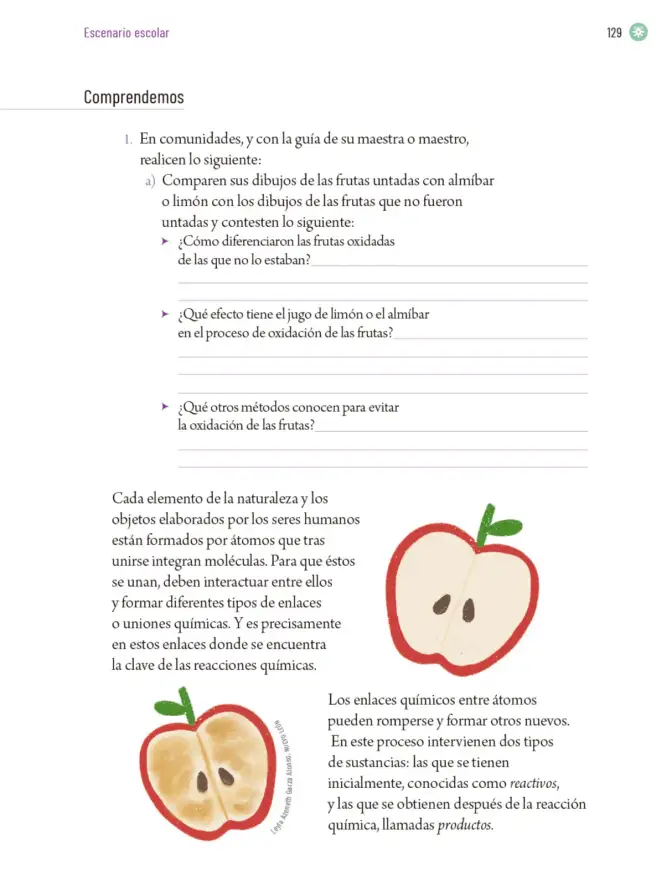 Página 132 de Proyectos Escolares. Libro de Educación Primaria Grado 6° Ciclo Escolar 2025 - 2026