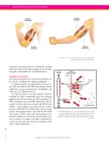 Miniatura página 38 de Ciencias Naturales 9° · Secundaria Activa