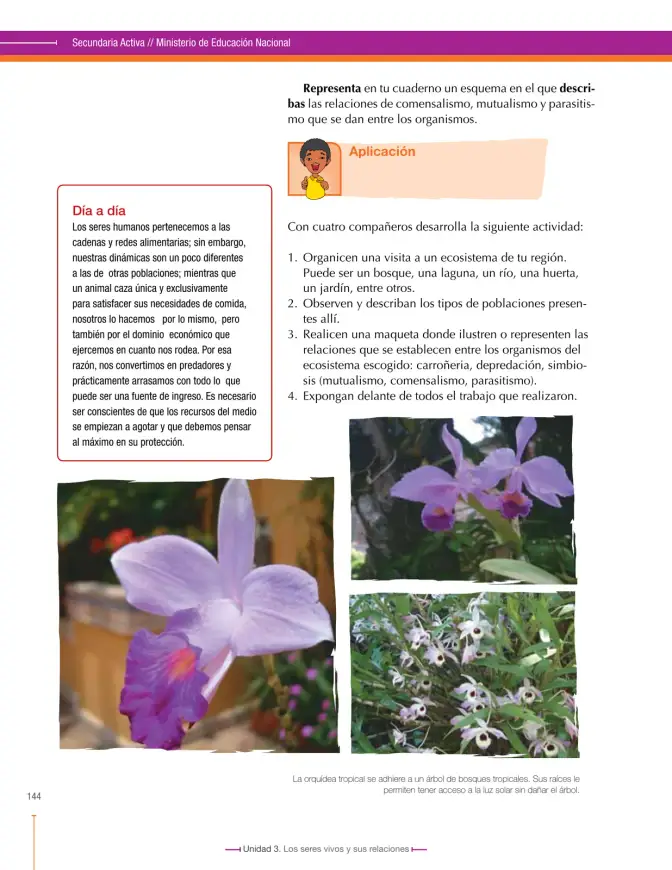 Página 146 de Ciencias Naturales 6° · Secundaria Activa