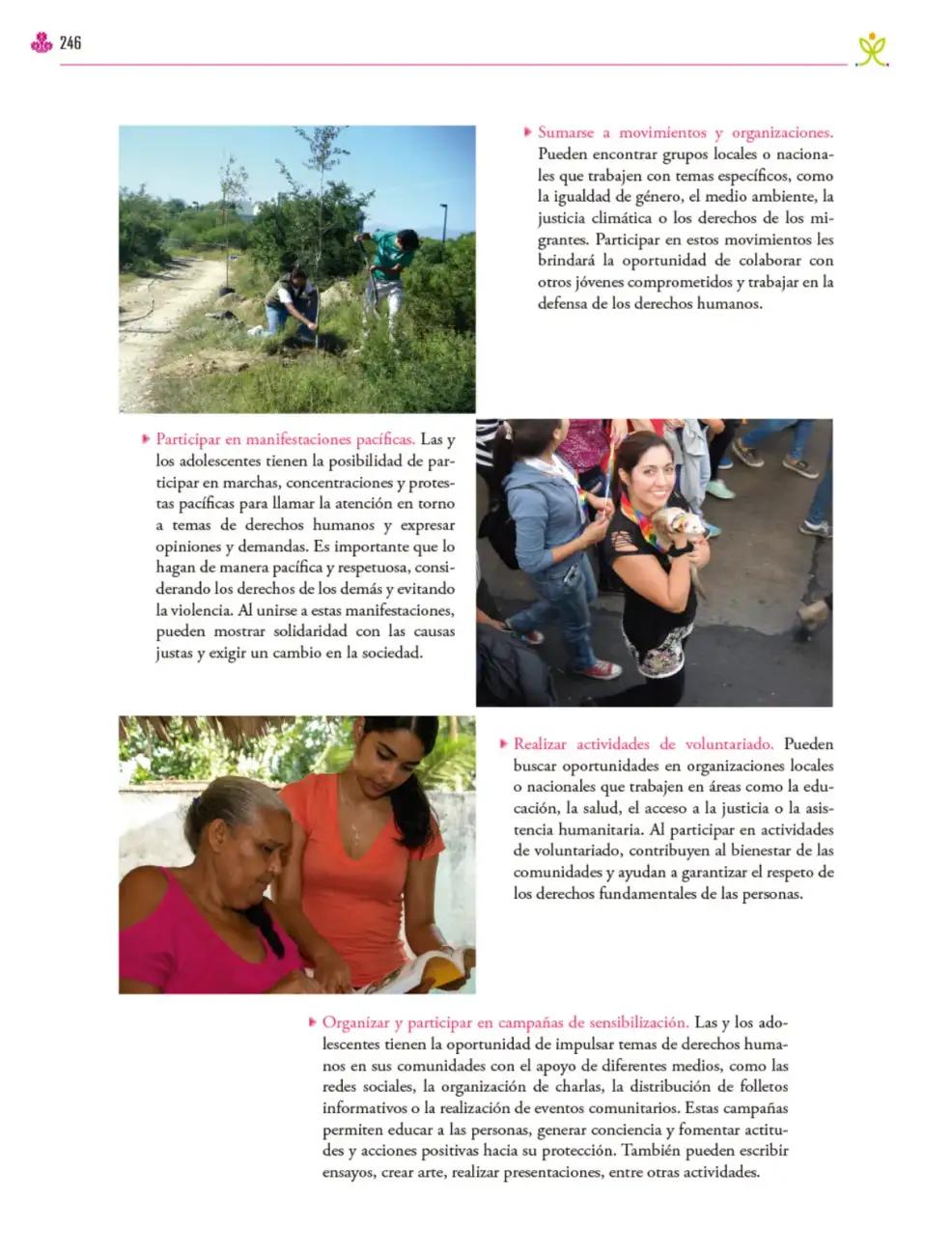 Página 247
