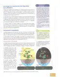 Miniatura página 94 de Ciencias Naturales 8° · Egb 8 Ciencias Naturales 2025 · 2025