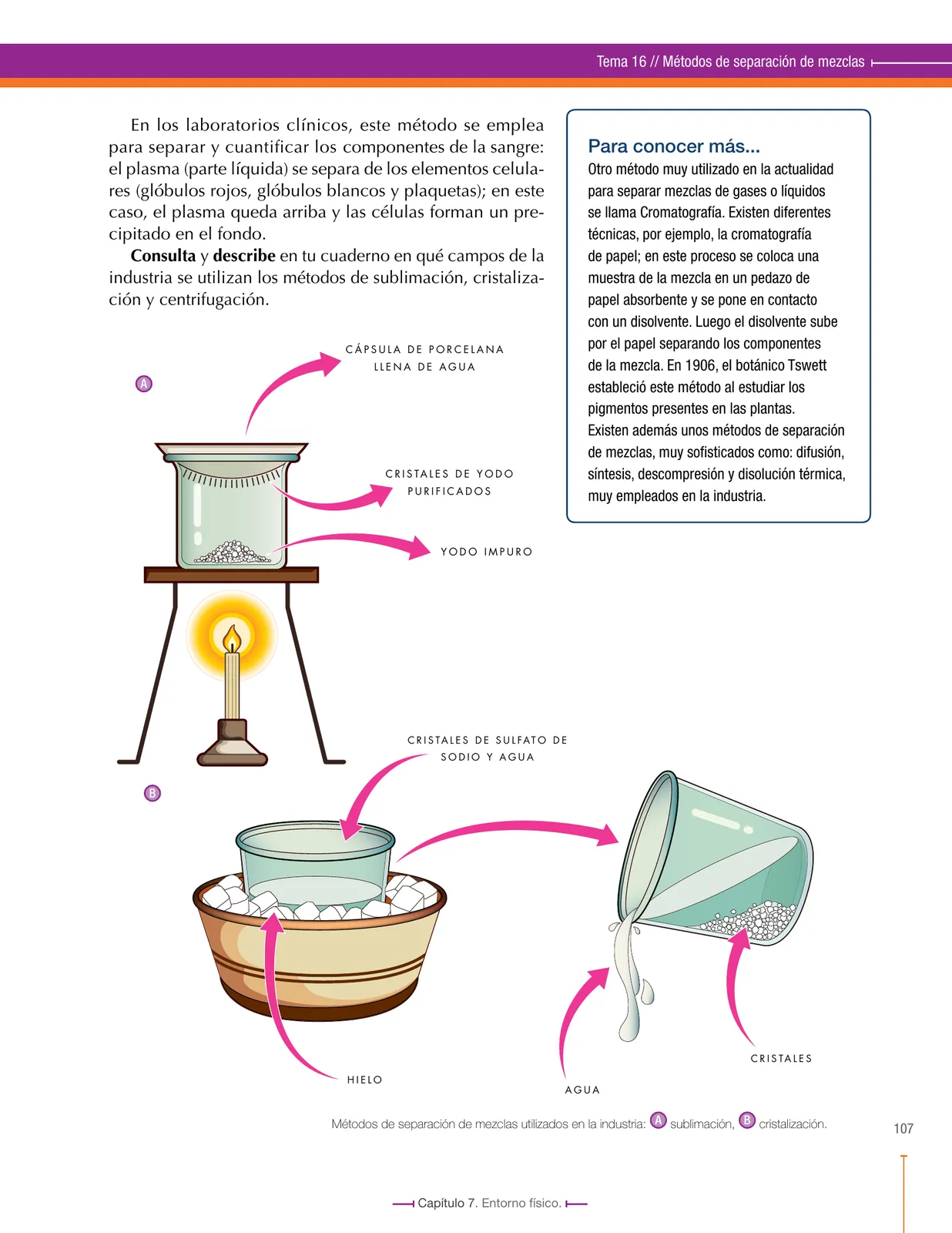 Página 107 de Ciencias Naturales 7° · Secundaria Activa