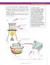 Miniatura página 107 de Ciencias Naturales 7° · Secundaria Activa