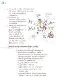 Miniatura página 233 de Proyectos Escolares.   Libro de Educación Primaria Grado 1°  Ciclo Escolar 2025 - 2026