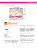 Miniatura página 31 de Ciencias Naturales 7° · Secundaria Activa