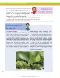 Miniatura página 292 de Ciencias Naturales 8° · Secundaria Activa
