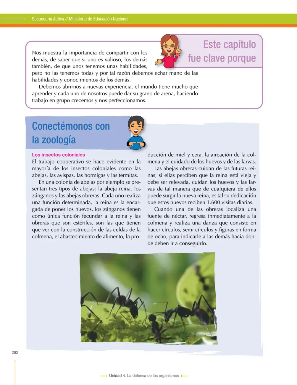 Página 292