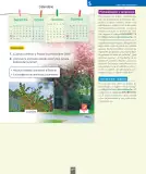 Miniatura página 86 de Ciencias Naturales – Segundo Básico | Texto del Estudiante MINEDUC – Descargar PDF · 2024