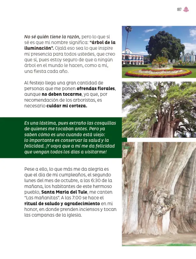 Página 188 de Múltiples lenguajes. Libro de Educación Primaria Grado 3° Ciclo Escolar 2025 - 2026