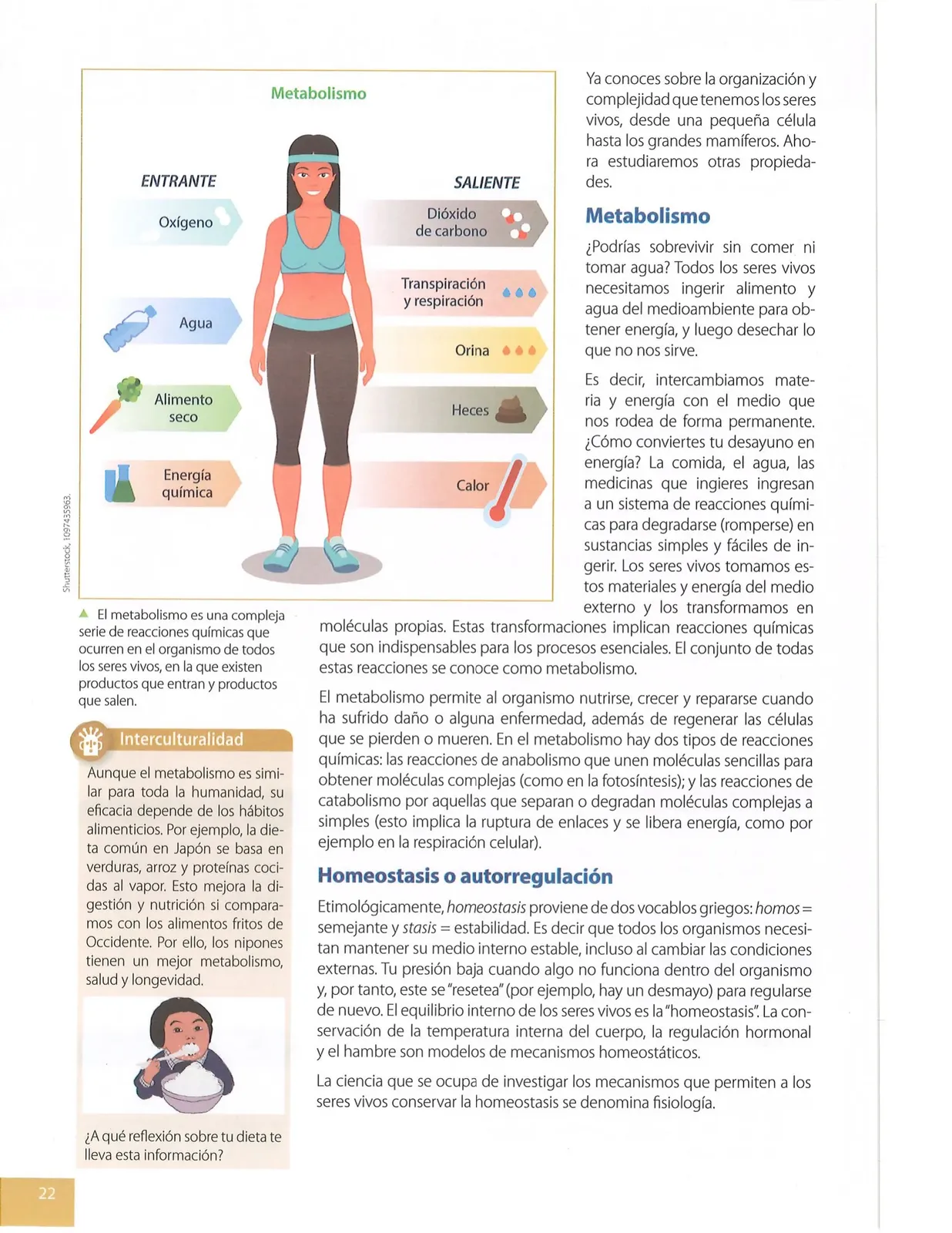 Miniatura página 21 de Ciencias Naturales · 8 EGB · 2025