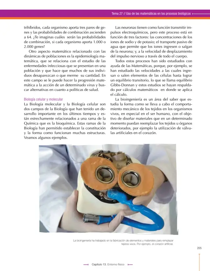 Página 205 de Ciencias Naturales 9° · Secundaria Activa
