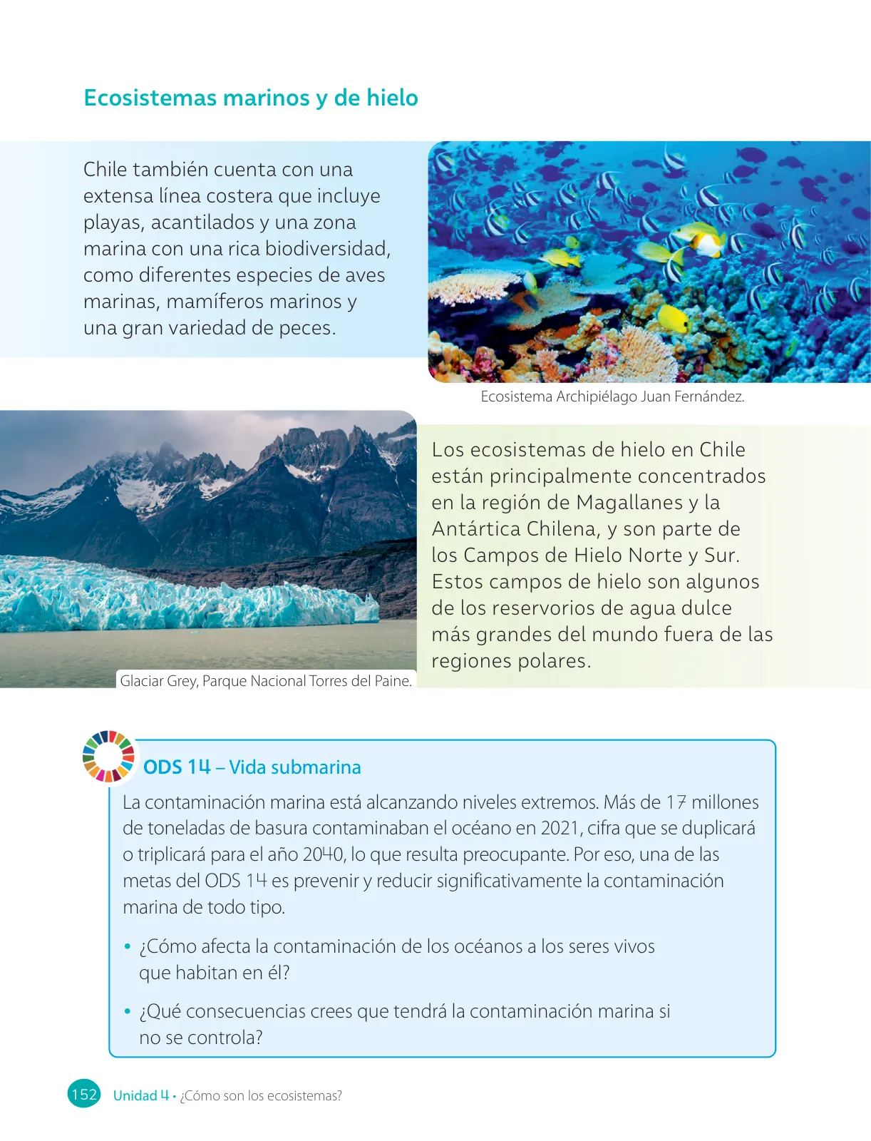 Miniatura página 154 de Ciencias Naturales – Cuarto Básico | Texto del Estudiante MINEDUC – Descargar PDF · 2024