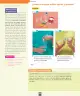 Miniatura página 25 de Ciencias Naturales – Segundo Básico | Texto del Estudiante MINEDUC – Descargar PDF · 2024