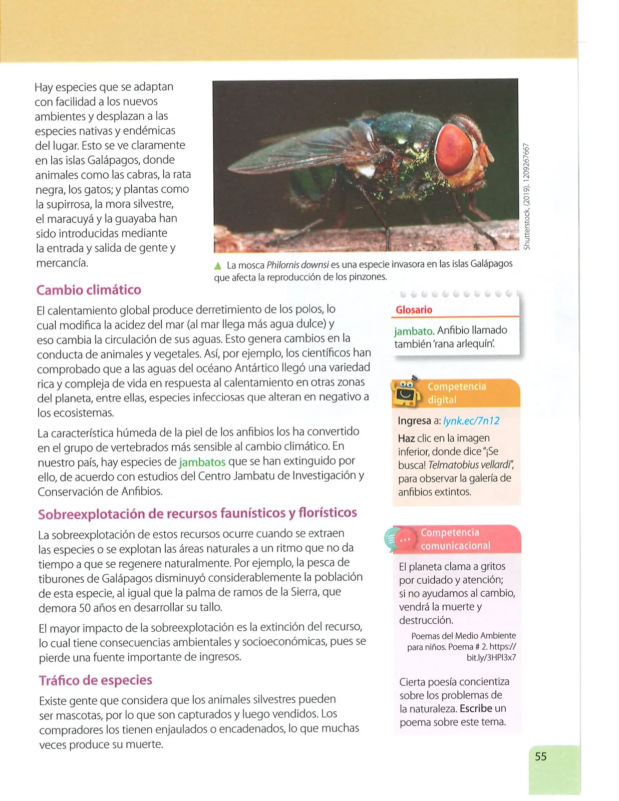 Página 54 de Ciencias Naturales · 7 EGB · 2024