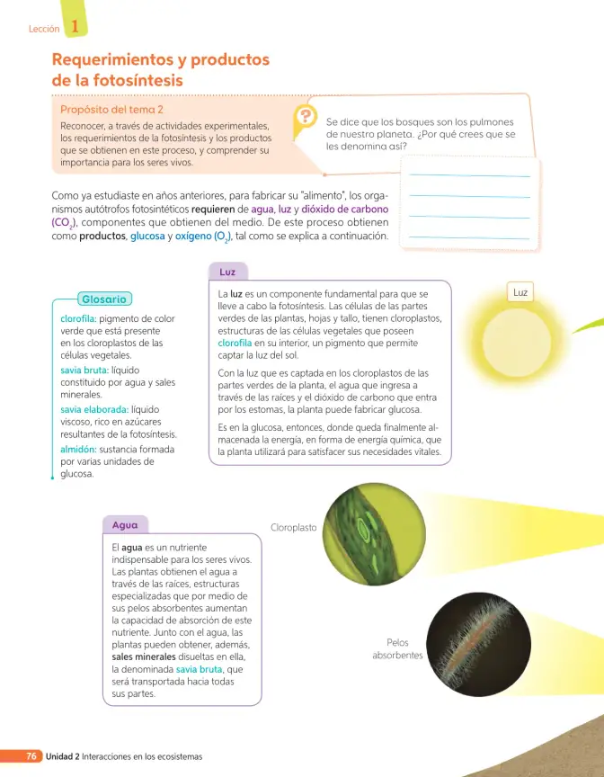 Página 195 de Libro de Ciencias Naturales – Quinto Básico | Texto del Estudiante MINEDUC – Descargar PDF · 2024