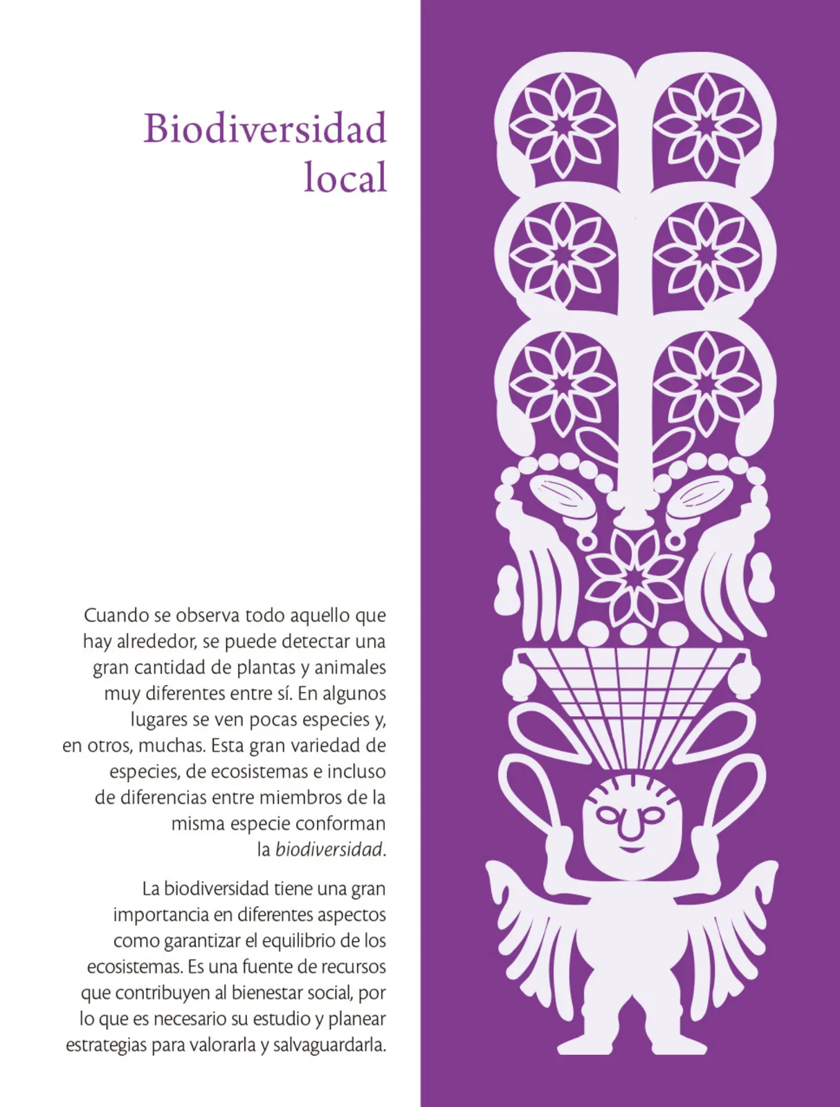 Miniatura página 193 de Colección Ximhai. Saberes y pensamiento científico.   Libro de Educación Secundaria Grado 1°  Ciclo Escolar 2025 - 2026