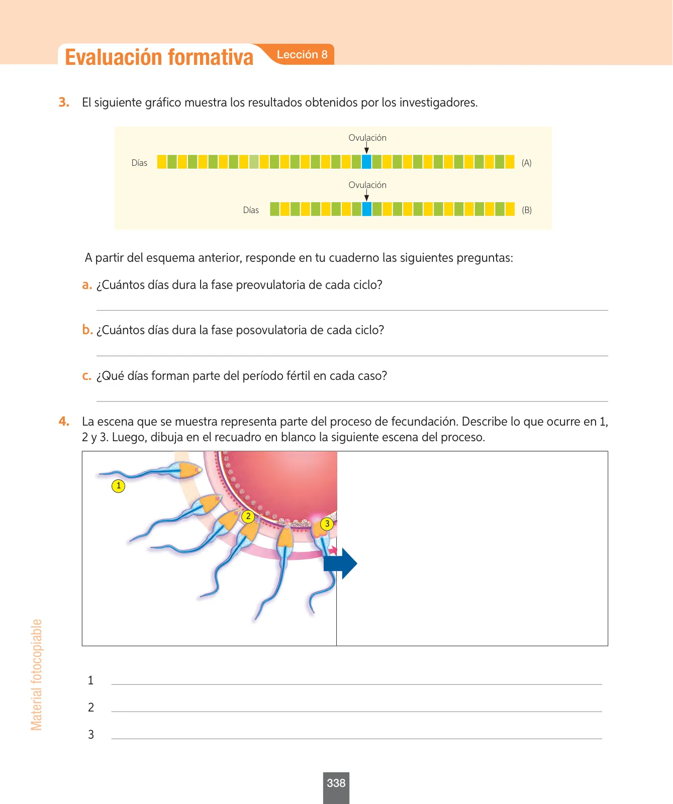Página 163 de Ciencias Naturales – Séptimo Básico | Texto del Estudiante MINEDUC – Descargar PDF · 2024