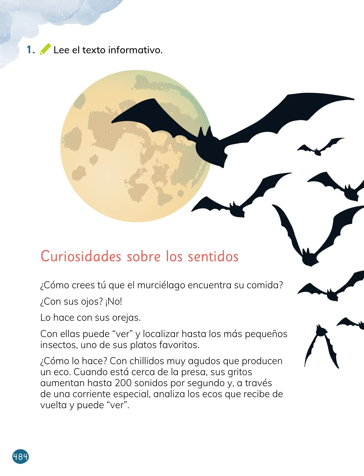 Miniatura página 214 de Lenguaje y Comunicación – Primero Básico | Texto del Estudiante MINEDUC – Descargar PDF · 2024