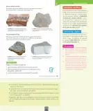 Miniatura página 120 de Ciencias Naturales – Séptimo Básico | Texto del Estudiante MINEDUC – Descargar PDF · 2024