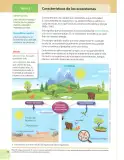 Miniatura página 19 de Ciencias Naturales 7° · 2025