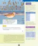Miniatura página 98 de Ciencias Naturales – Primero Básico | Texto del Estudiante (MINEDUC) – Descargar PDF · 2024