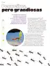 Miniatura página 115 de Múltiples lenguajes.   Libro de Educación Primaria Grado 6°  Ciclo Escolar 2025 - 2026
