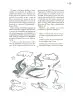 Miniatura página 70 de Crianza para la libertad. Libro para las familias. Fase 2  Libro de Educación Preescolar Grado 1°, 2°, 3°  Ciclo Escolar 2025 - 2026