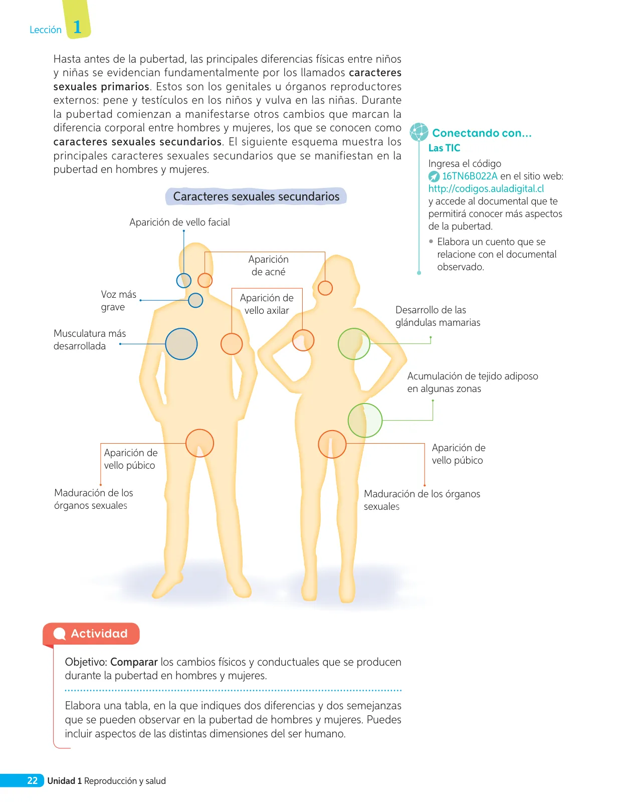 Página 99 de Libro de Ciencias Naturales – Quinto Básico | Texto del Estudiante MINEDUC – Descargar PDF · 2024