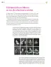 Miniatura página 237 de Colección Nanahuatzin. Lenguajes.   Libro de Educación Secundaria Grado 3°  Ciclo Escolar 2025 - 2026