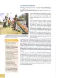 Miniatura página 33 de Estudios Sociales 10° · Egb 10 Estudios Sociales 2025 · 2025