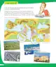 Miniatura página 219 de Historia, Geografía y Ciencias Sociales – Tercero Básico | Texto del Estudiante MINEDUC – Descargar PDF · 2024