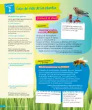 Miniatura página 69 de Ciencias Naturales – Tercero Básico | Texto del Estudiante MINEDUC – Descargar PDF · 2024