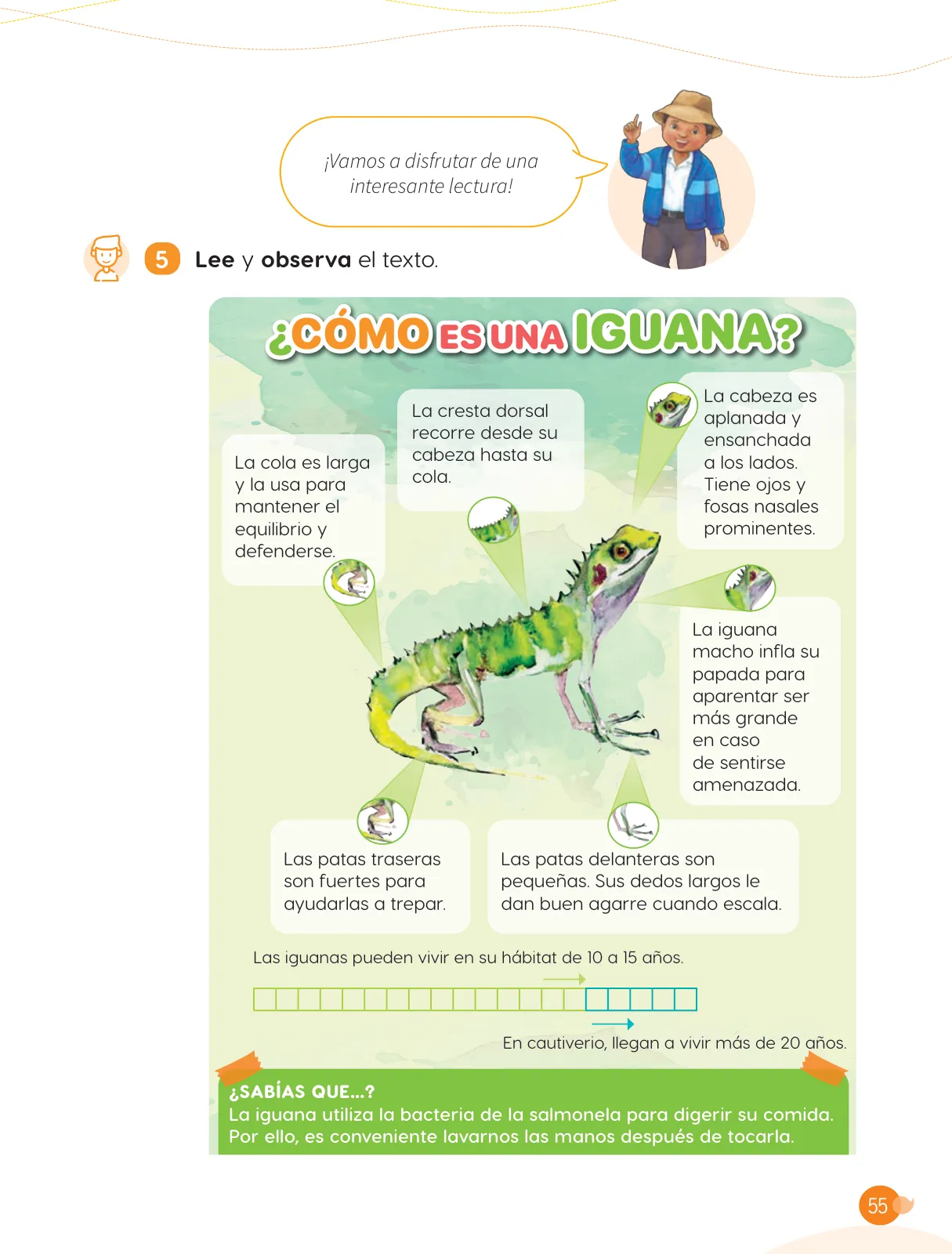 Página 57 de Cuadernillo de Comunicación 3, tercer grado de Primaria · 2023