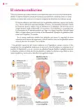 Miniatura página 305 de Colección Ximhai. Saberes y pensamiento científico.   Libro de Educación Secundaria Grado 1°  Ciclo Escolar 2025 - 2026