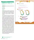 Miniatura página 76 de Sumo Primero – Primero Básico | Texto del Estudiante (MINEDUC) – Descargar PDF · 2024