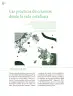 Miniatura página 7 de Crianza para la libertad. Libro para las familias. Fase 2  Libro de Educación Preescolar Grado 1°, 2°, 3°  Ciclo Escolar 2025 - 2026